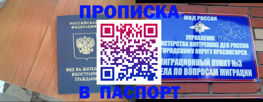 найти адрес прописки в Дубне